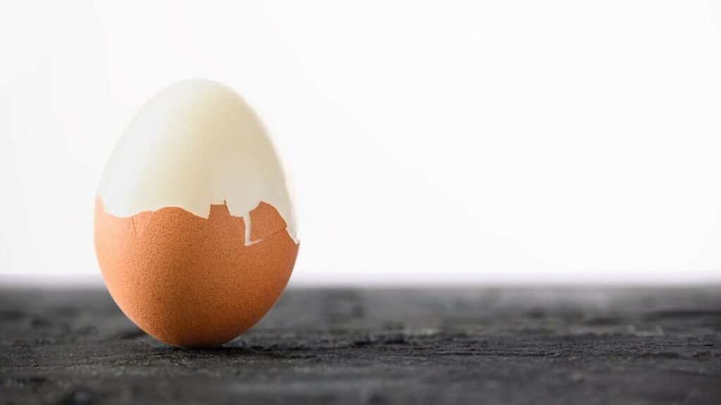 Half-shelled boiled egg on a bench, highlighting a high-quality protein source.