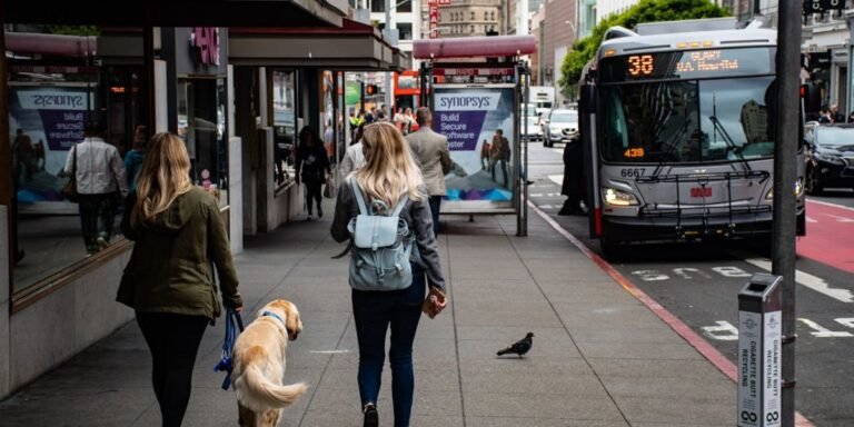 Two women walking a dog along a city sidewalk as part of everyday physical activity and fitness